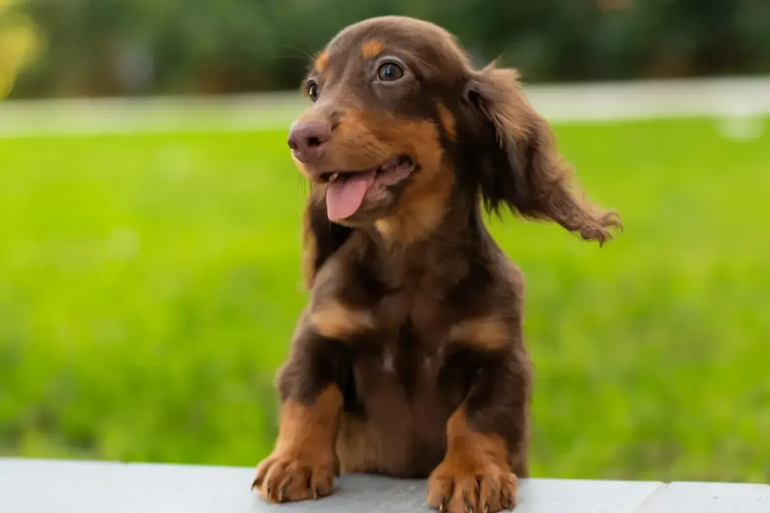 First walks, after the vaccines