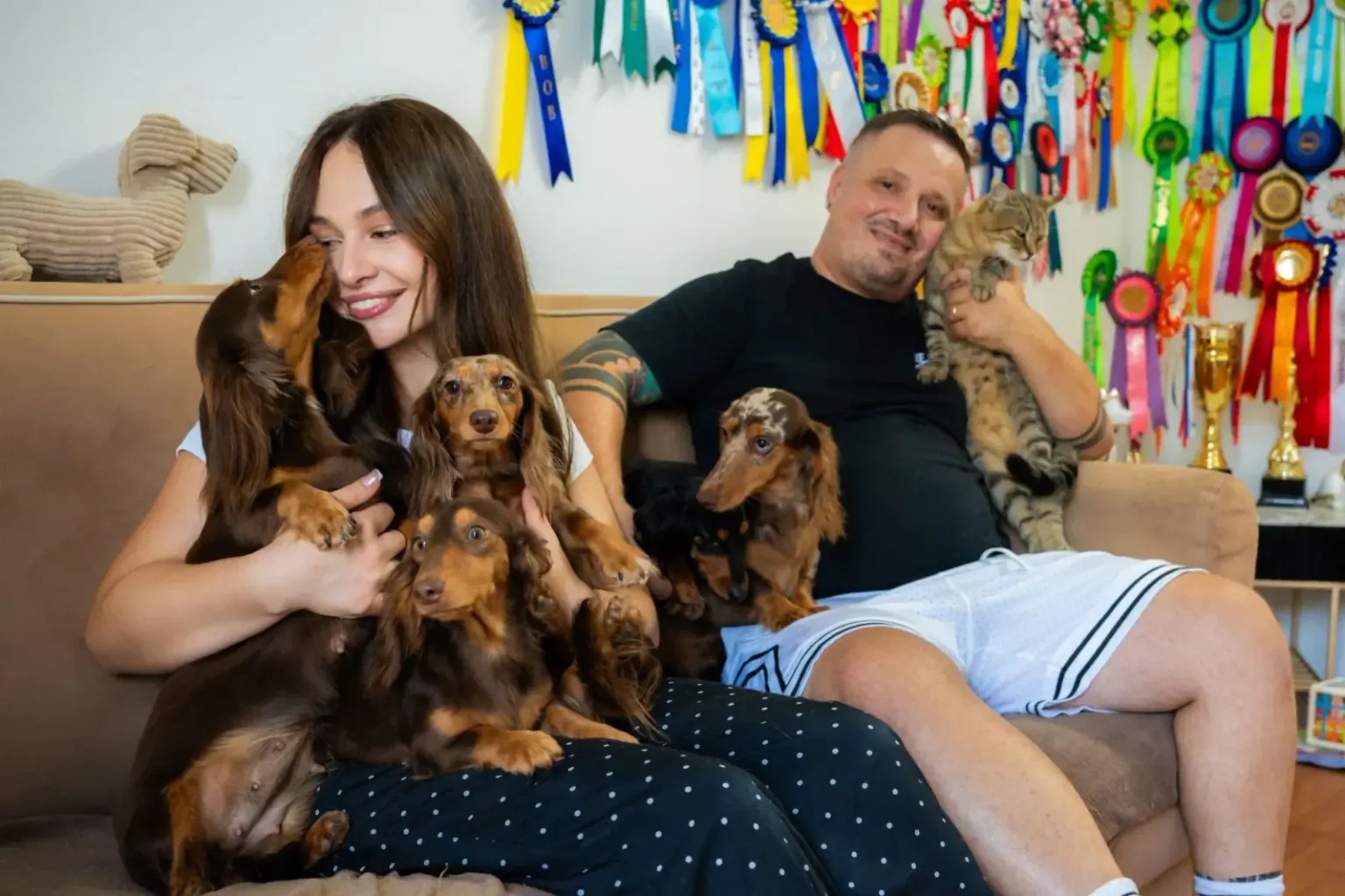 Cats, other dogs, the home that is already there